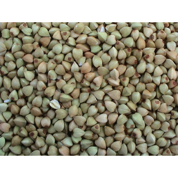 Chinese Buckwheat Kernels Yulin Origin (BW-007)